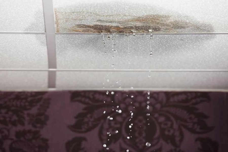 Water leak repair by plumbing company